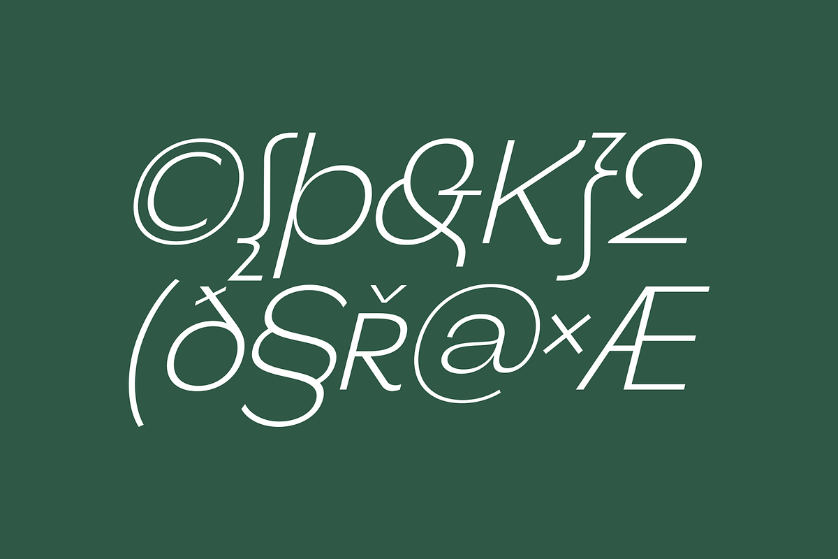 Benua Grotesque TypeFamily + Italic, a Serif Font by Jehoo Creative (Photo 4 of 12)