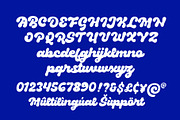 Fila - Bold Rounded Script Font, a Script Font by HRDR (Thumbnail 14 of 15)