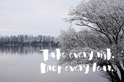 Wilma Font, a Script Font by SophieSaxo (Thumbnail 2 of 8)