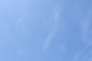 Blue Skies for sky replacement, a Background Photo by Liz Mitchell Photography (Thumbnail 7 of 12)