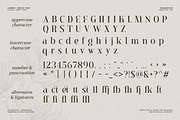 Ambery Verita – Elegant Modern Serif, a Serif Font by roomspace creative lab (Thumbnail 10 of 10)