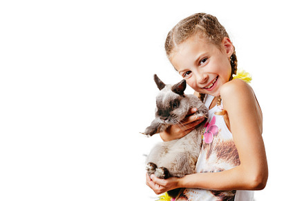 Little girl holding small rabbit, an Animal Photo by Yummypic