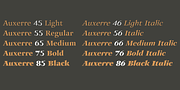 Auxerre, a Serif Font by ingoFonts (Thumbnail 5 of 8)
