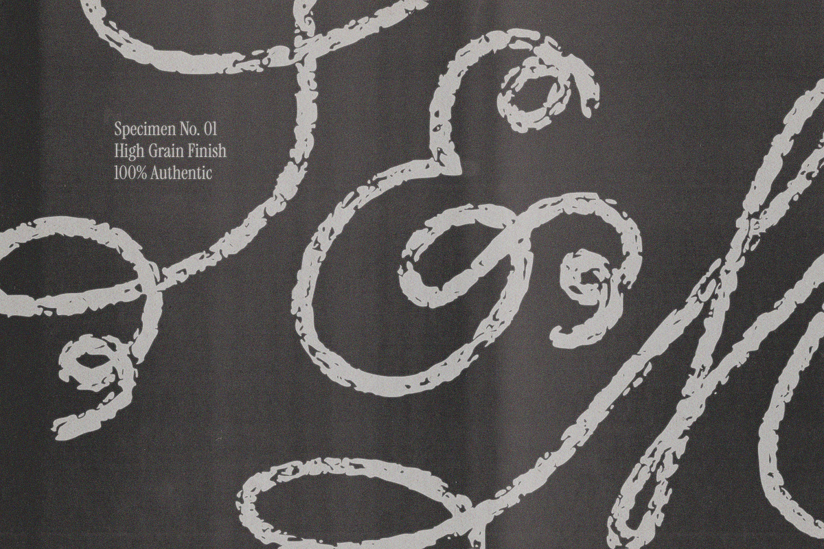 Forged Lace Romantic Gothic Font, a Script Font by AnMark (Photo 10 of 12)
