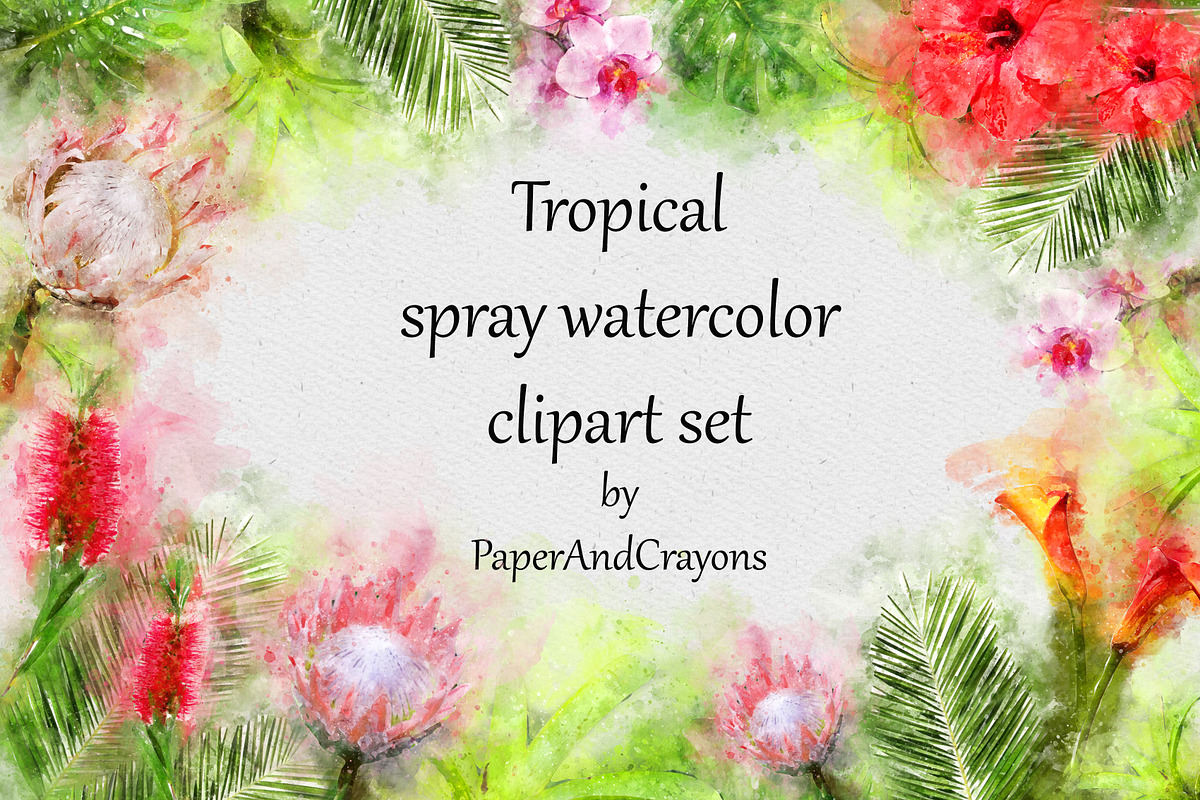 Tropical Watercolor Set, an Illustration by PaperAndCrayons (Photo 1 of 5)