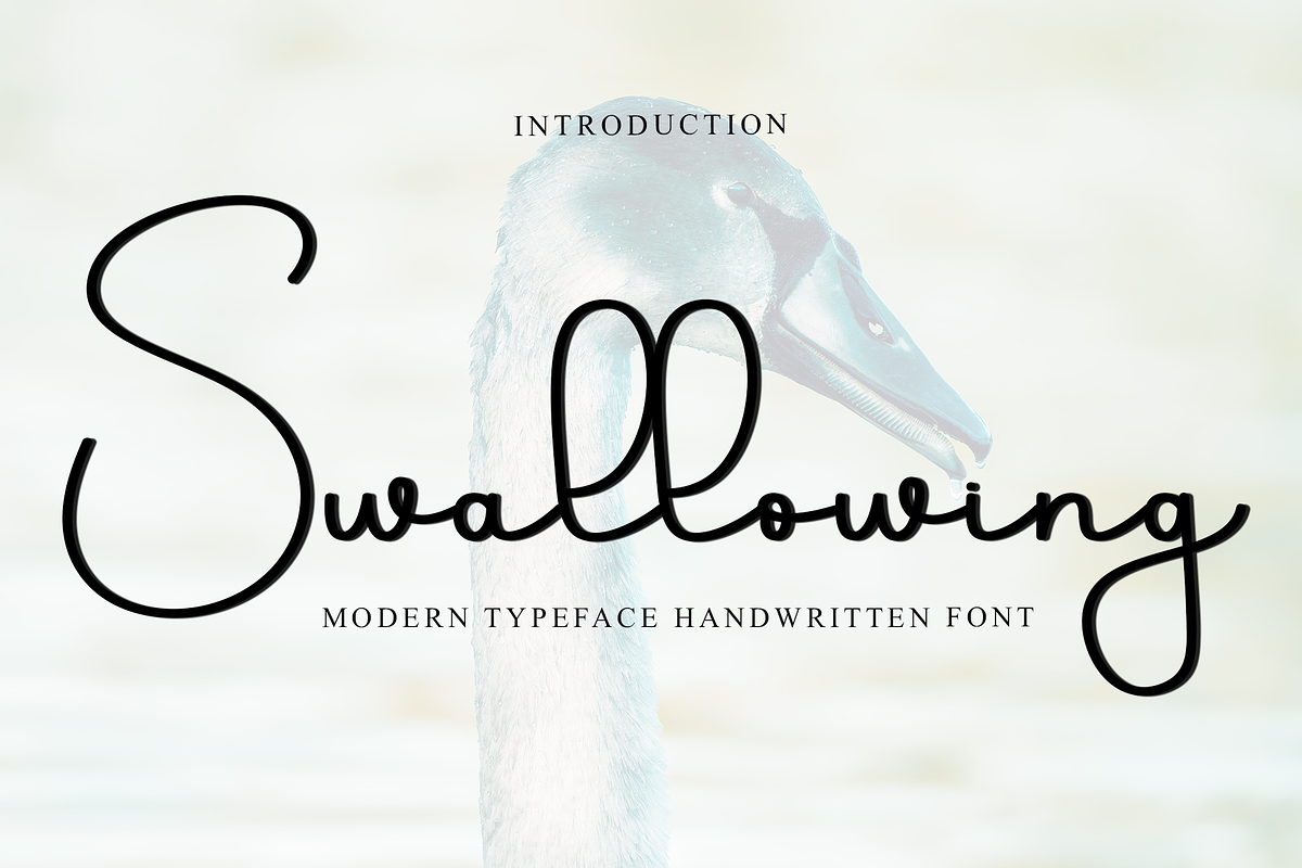 Swallowing, a Handwritten Font by InermediaSTUDIO (Photo 1 of 8)