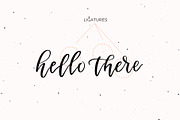 Oriole Script Font, a Script Font by The Pigeon Letters (Thumbnail 2 of 14)