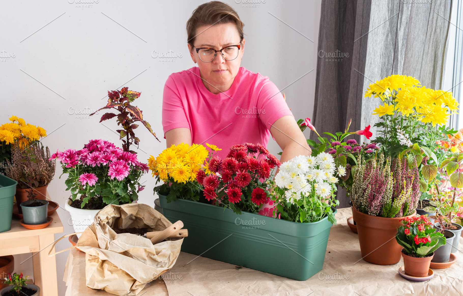 A 50-year-old woman transplanting, a Nature Photo by Pundateam