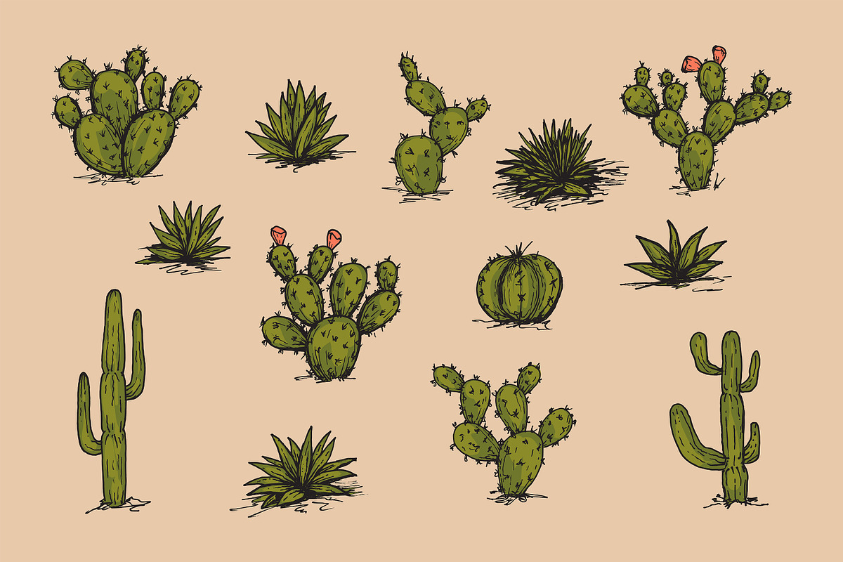 Hand Drawn Desert Landscape Elements, an Illustration by Artolabs (Photo 14 of 19)