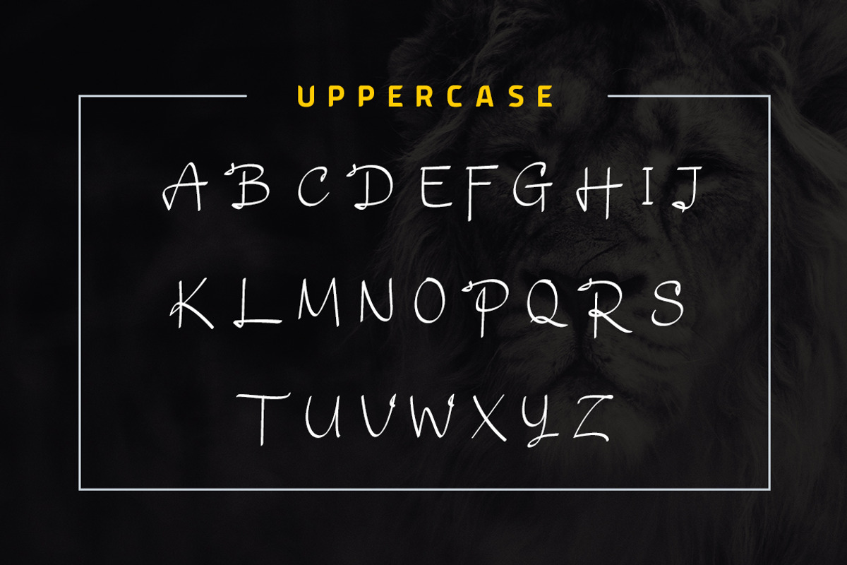 Daesy // Luxury Challigrapy Font preview 7