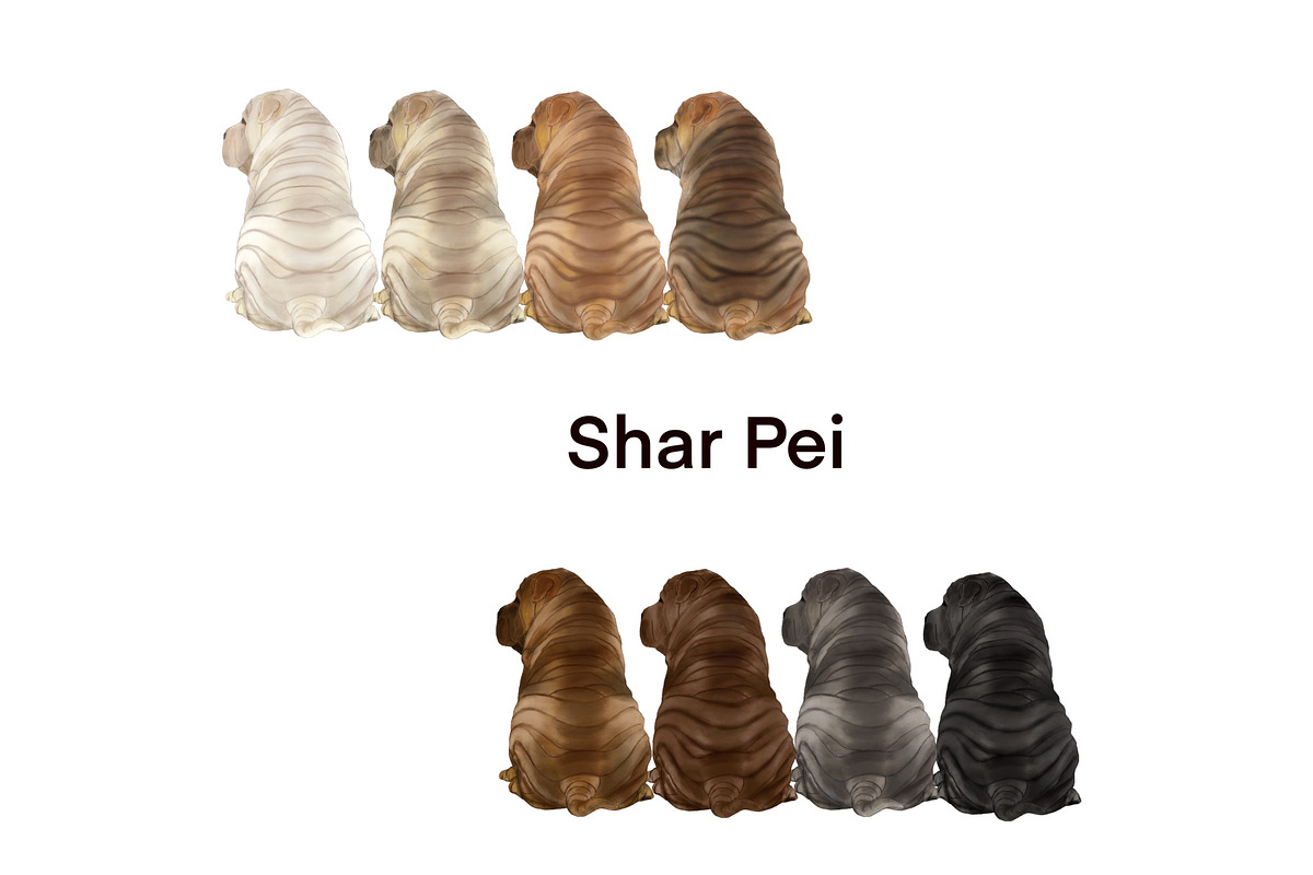 Watercolor Dog Clipart. Dog Breeds, an Animal Illustration by ColorfulPT (Photo 2 of 8)