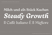 Reigo Complete Family, a Font by Digitype Studio (Thumbnail 8 of 15)