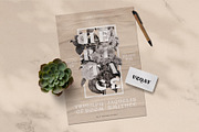 VEQAY Typeface, a Serif Font by alit design (Thumbnail 9 of 15)