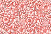 Tomato Farm Vector Collection, a Food Illustration by Lubov Illustrations Shop (Thumbnail 13 of 13)