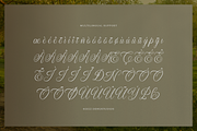 Narottewla | Beauty Callighraphy, a Script Font by Denustudios (Thumbnail 11 of 12)