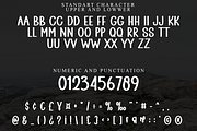 Black Market, a Script Font by FreshTypeINK (Thumbnail 8 of 8)