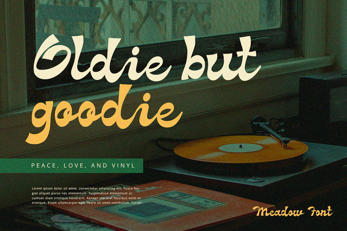 Meadow - Groove Script Font, a Script Font by Alpaprana (Photo 6 of 9)