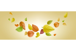 Autumn tree leaves flying in wind, an Object Illustration by art PVP - market