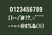Backyard Stories Duo, a Handwritten Font by Art StoreID (Thumbnail 7 of 11)