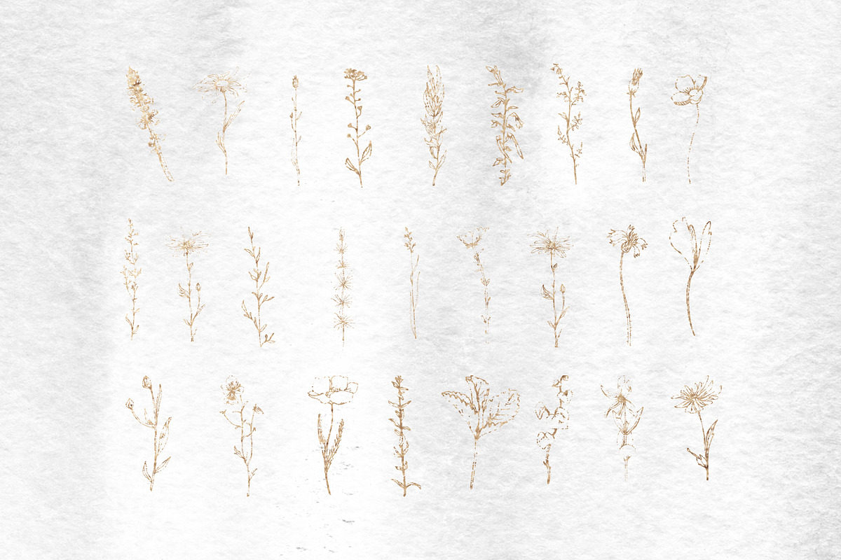 Sketched Floral Illustrations, an Illustration by With Love Ethel (Photo 2 of 6)
