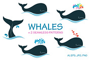 Whales vector set, a Background Graphic by InkySplash (Thumbnail 1 of 3)