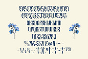 Besquen Modern Gothic Typeface, a Blackletter Font by Heinzel Std (Thumbnail 12 of 13)