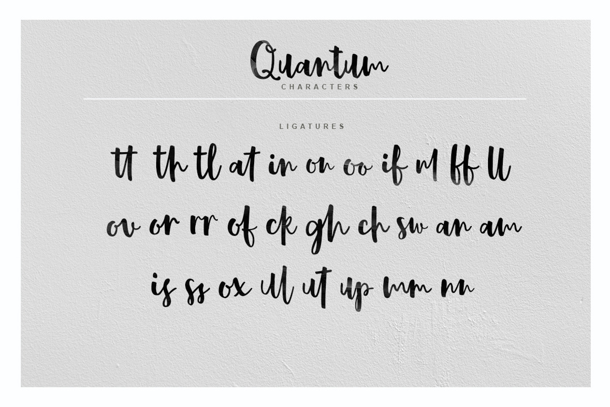 Quantum Font, a Script Font by Fargun Studio (Photo 9 of 10)