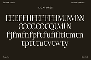 Belune, a Serif Font by Zaloma Studio (Thumbnail 16 of 16)