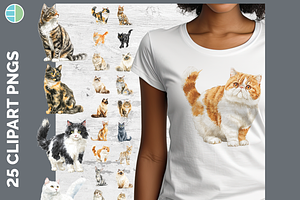 Cat Breed Clipart Bundle, 24 PNGs, an Animal Illustration by Enliven Designs