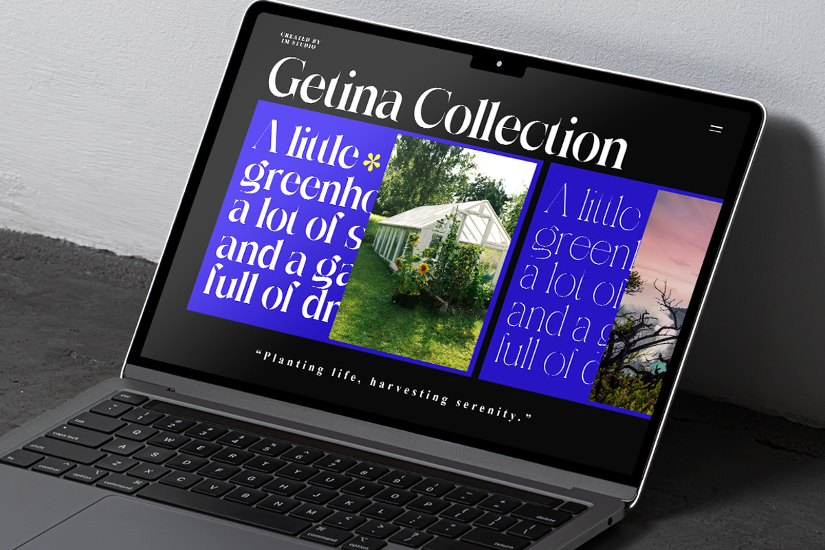 Getina Serif Super Family 243 Fonts, a Serif Font by IM Studio (Photo 4 of 12)