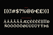 Plunder Typeface, a Font by Tugcu Design Co. (Thumbnail 4 of 4)