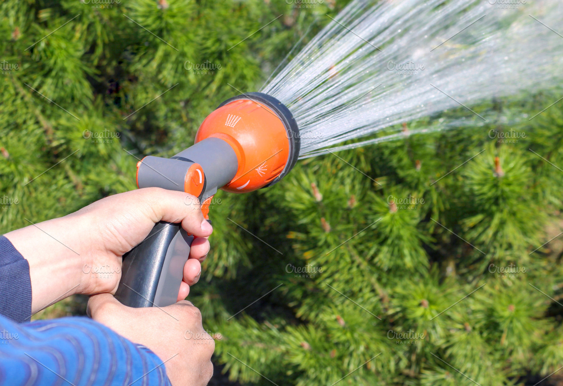 Human hand holding water sprinkler, a Person Photo by BOOCYS