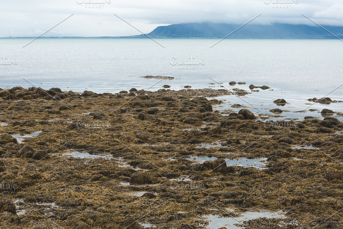 Icelandic Road Trip Bundle, a Nature Photo by HG Photography (Photo 10 of 11)