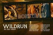 Gravebone Western Style Font, a Sans Serif Font by Vadovastd (Thumbnail 3 of 7)