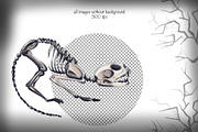 Halloween pumpkins and skeletons, an Illustration by Alena Sid (Thumbnail 4 of 12)