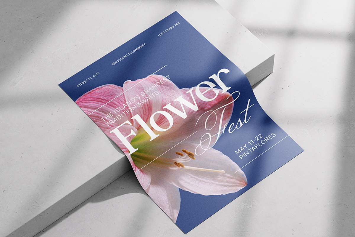 Delmora Elegant Display Serif Font, a Serif Font by Vadovastd (Photo 7 of 8)