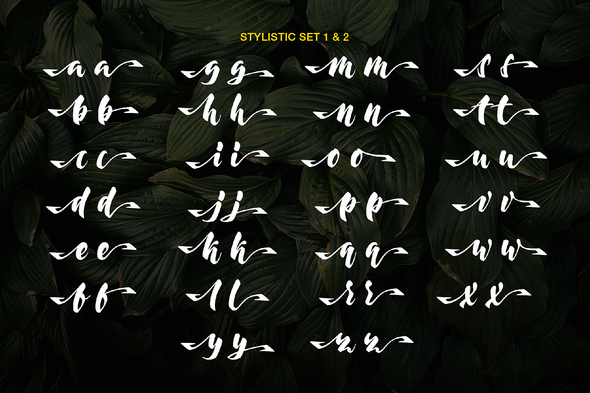 Moonway - A Hand Brush Typeface, a Script Font by SemutHitam Creative (Photo 9 of 10)
