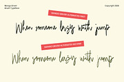 Mango Driver - Signature Brush, a Handwritten Font by tebaltipislab (Thumbnail 10 of 10)