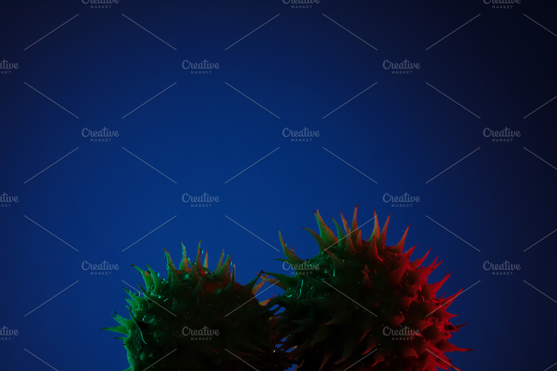 Two spiky fruits lit with red and green light against a dark blu, a Background Photo by Ales Munt