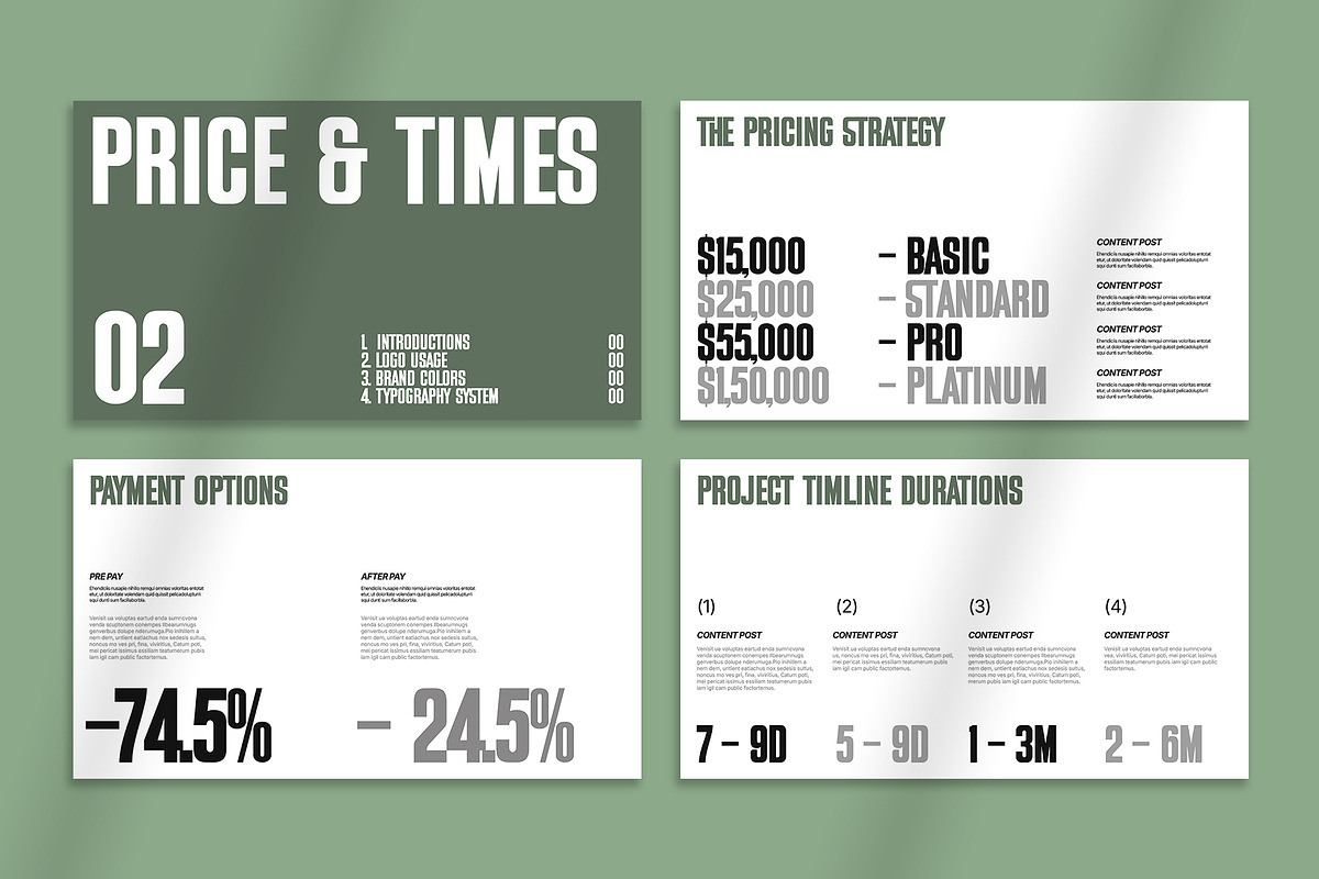 Services and Pricing Guide Template, a Presentation Template by Oriofix (Photo 8 of 11)