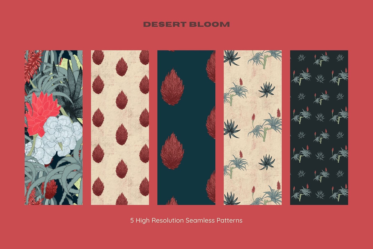 Desert Bloom-Set, a Decorative Illustration by StudioLapis (Photo 5 of 8)
