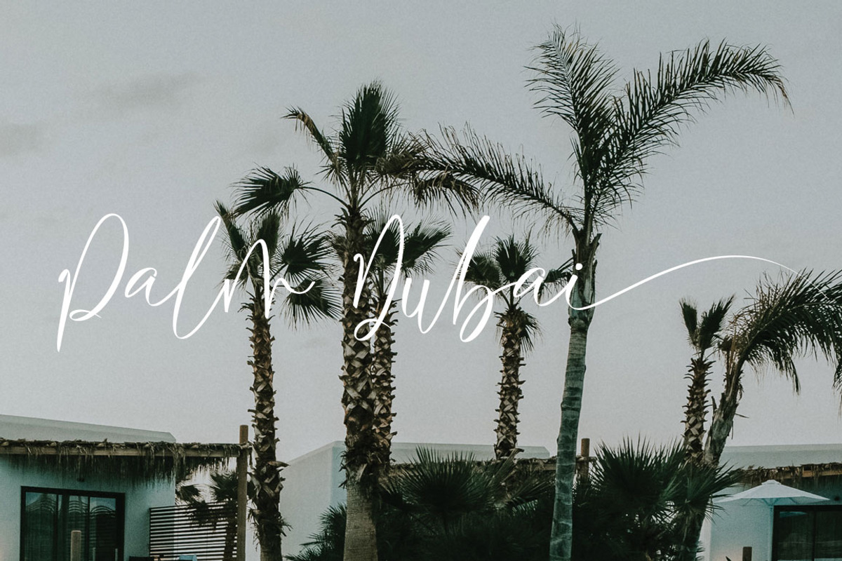 Palmtrees preview 7
