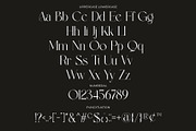 Bildan Modern Ligature Serif, a Serif Font by Alfinart (Thumbnail 10 of 10)