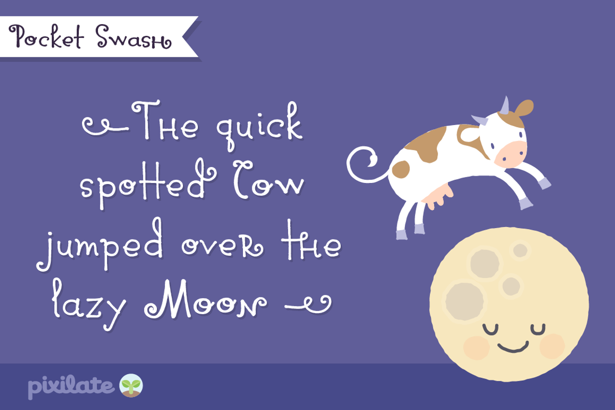 Pocket Swash Font preview 3