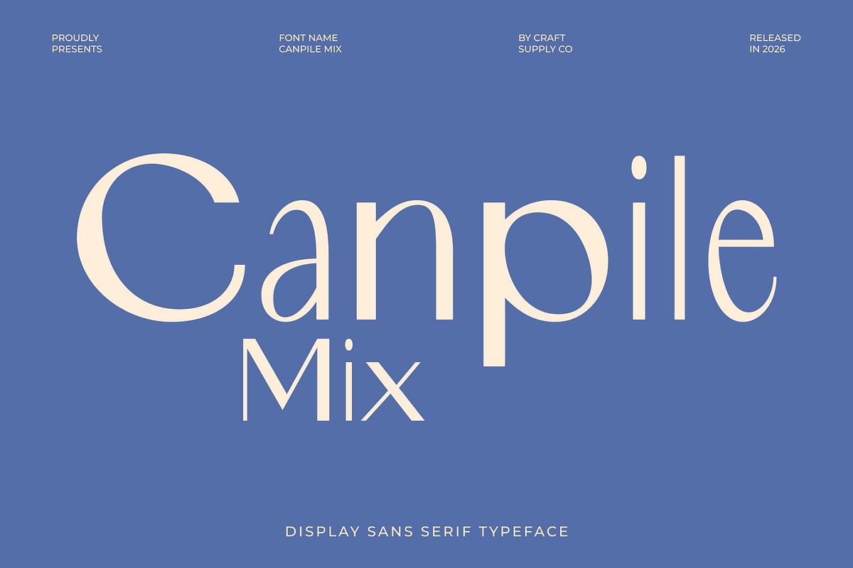 Canpile Mix, a Sans Serif Font by Craft Supply Co. (Photo 1 of 8)