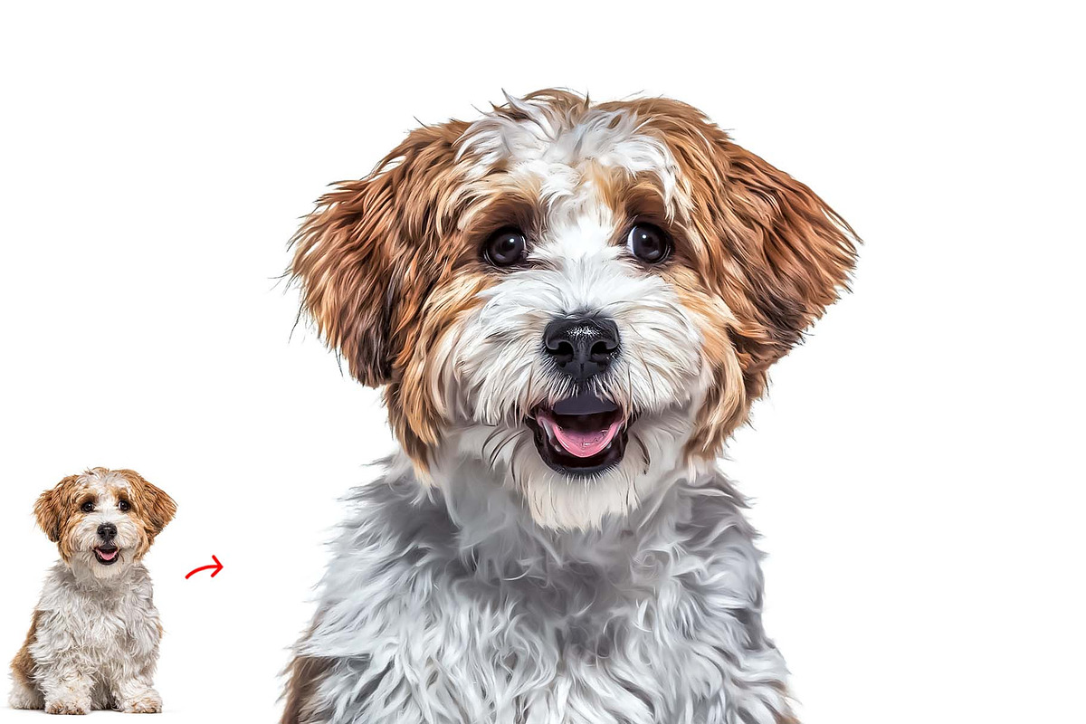 Professional Oil Paint, an Action Add-On by MRI STUDIO (Photo 10 of 13)