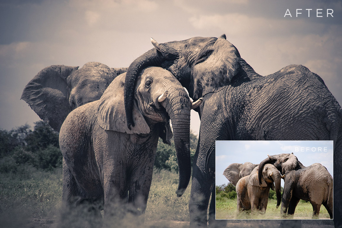 Color Toning Lightroom Presets Vol 1, a Preset Add-On by ShutterSweets (Photo 2 of 5)