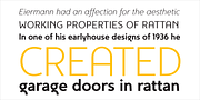 Egon Sans, a Sans Serif Font by TipografiaRamis (Thumbnail 4 of 5)