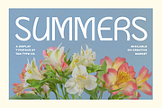 TAN - SUMMERS, a Sans Serif Font by TanType (Thumbnail 5 of 10)