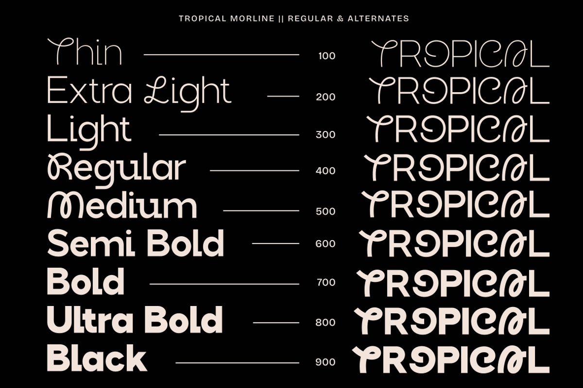 Tropical Morline, a Sans Serif Font by zeenesia (Photo 3 of 14)